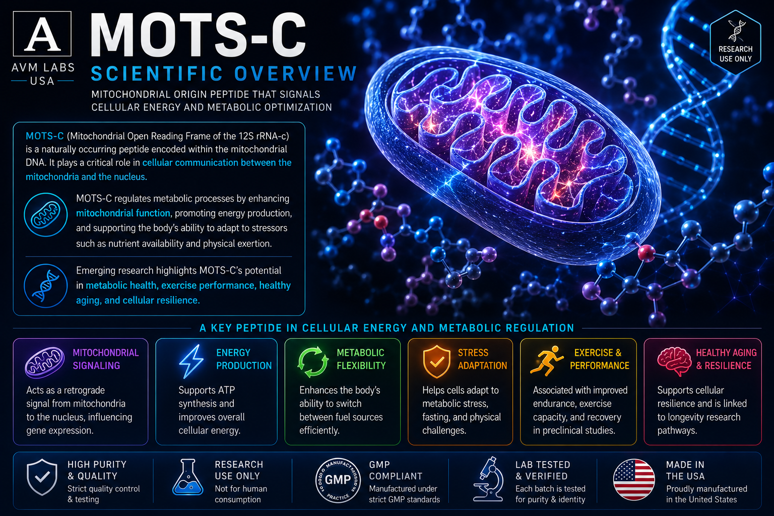 motc c lab.overview