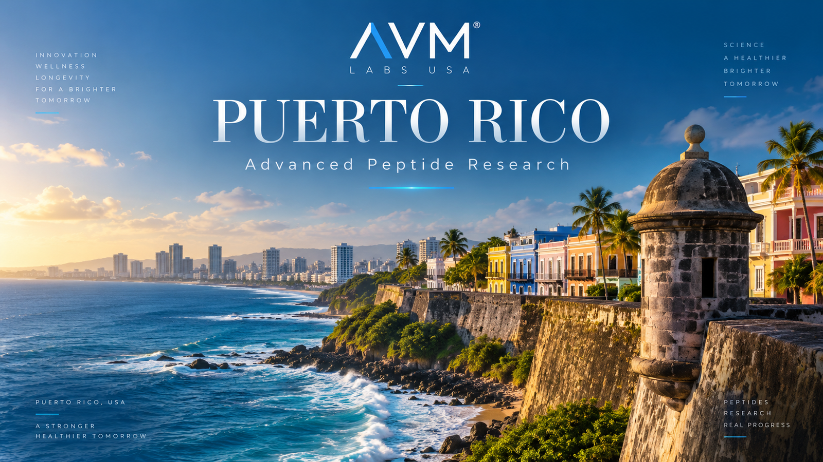 avm puerto rico