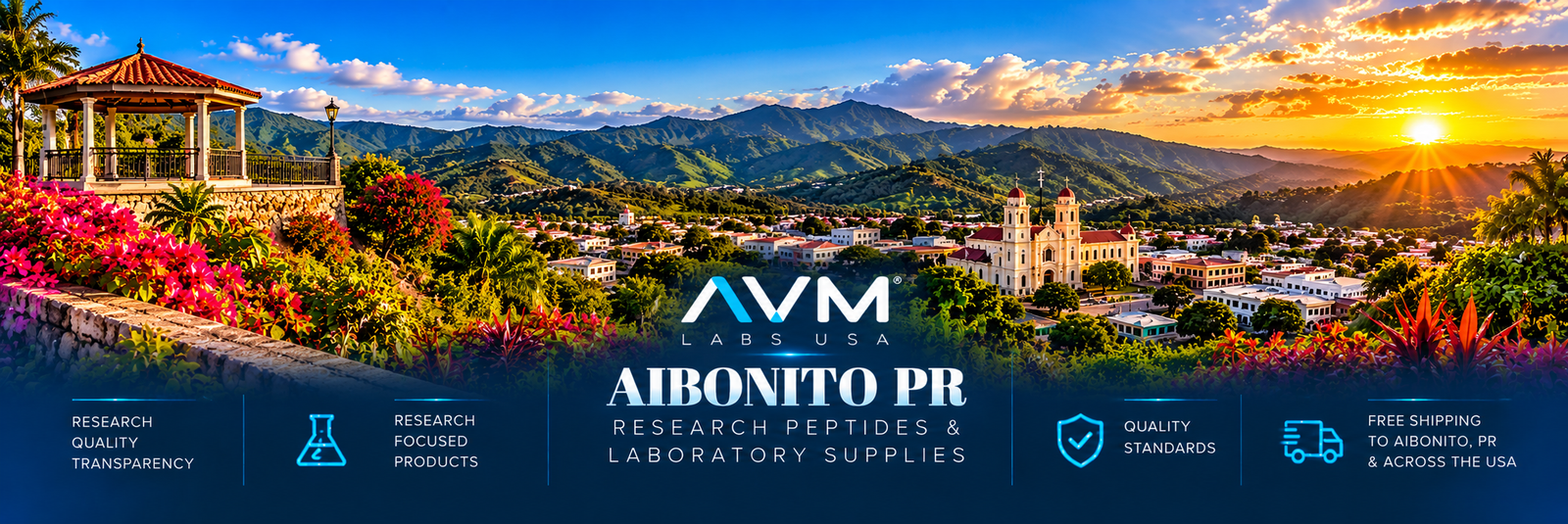 aibonito footer